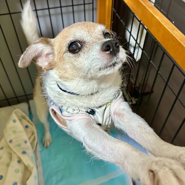 9872e0ff 79f4 4a10 a8e0 1b718c9915a9 1694476805128