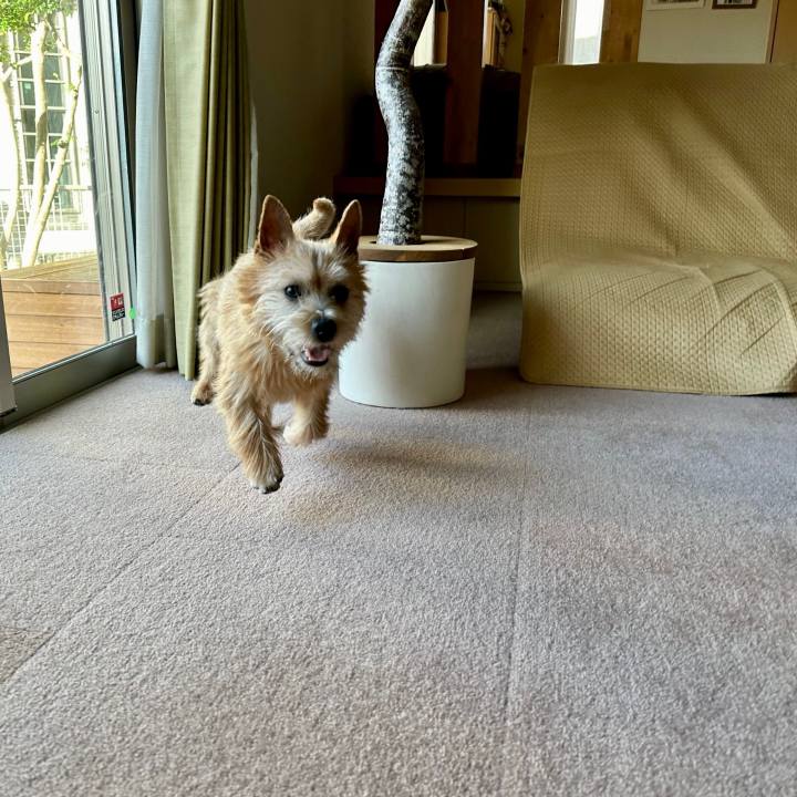 9872f2ca 86a1 4be7 9a34 cee1651b5017 1710719940135