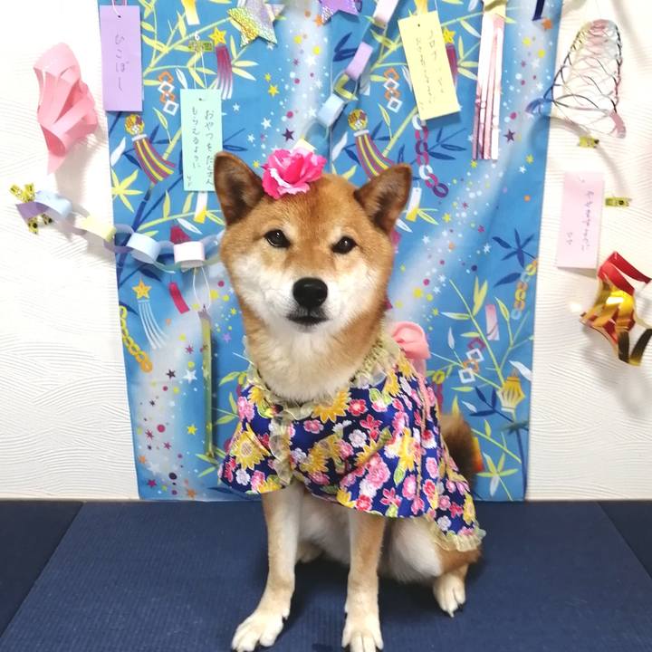 98732a76 2b3e 49ee 9349 da3acbf177b8 1594135835557