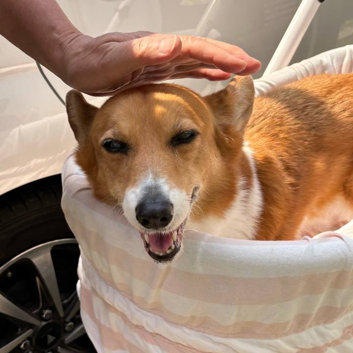 98735d6f 338a 42e2 ba69 baa6bf73ea42 1745722434163