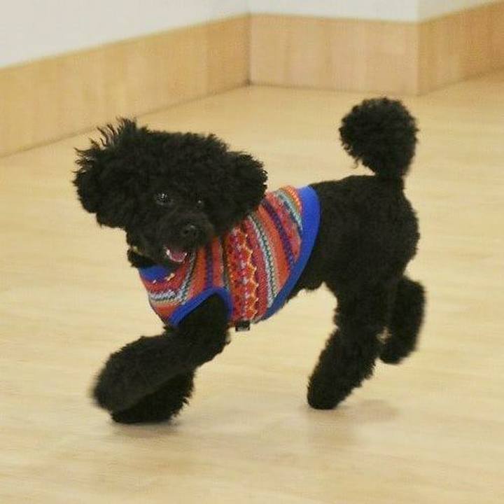 987384fb 6b25 4f72 a413 2a5580e335e0 1508138315927