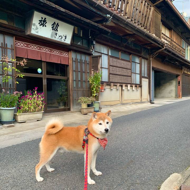 9873c768 c8ca 4355 b68d c8d7570d3b86 1665830463322