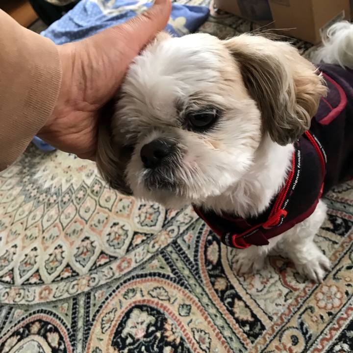 9873cb3c 2243 4748 ad5f fb079886766e 1545774527480