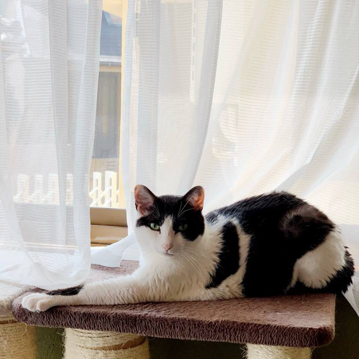 9873f96b 595f 4106 b920 f16c761b52de 1596082135669