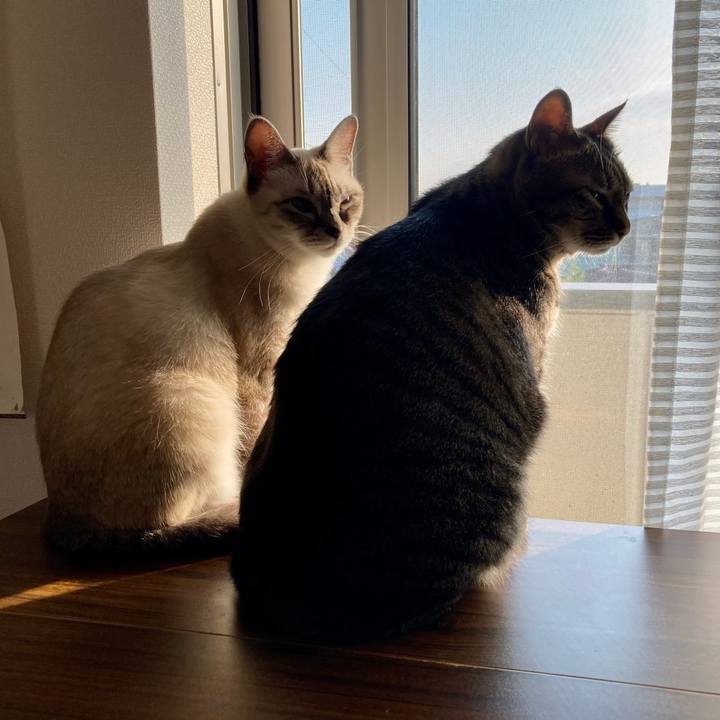 98741d72 93e1 4237 9e17 fe2b9b758278 1698378540416