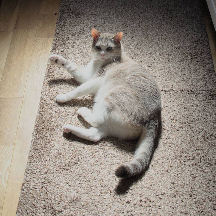 9874bfc5 3087 45b0 a6f4 4b49571ec9d5 1560657098825