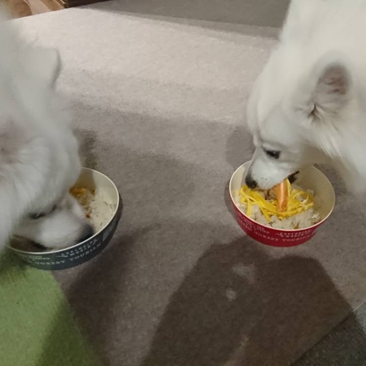 9874cf65 d216 4794 8342 6b47159f8559 1583326376840