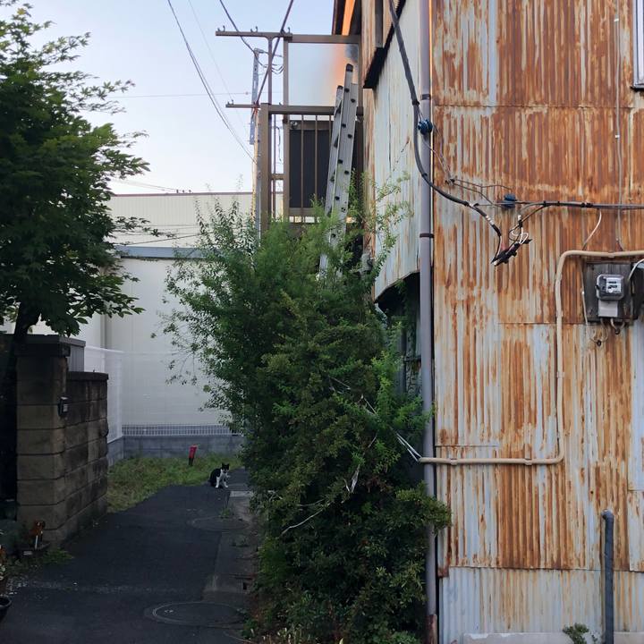 98750543 67ed 4043 a4dd 3b1e9c0fe6dc 1527940212086