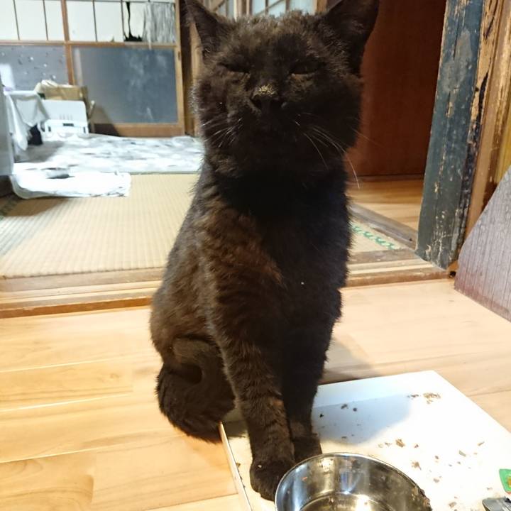 987520f2 c5d3 412f 8151 0a310bdc2ed9 1622728080575