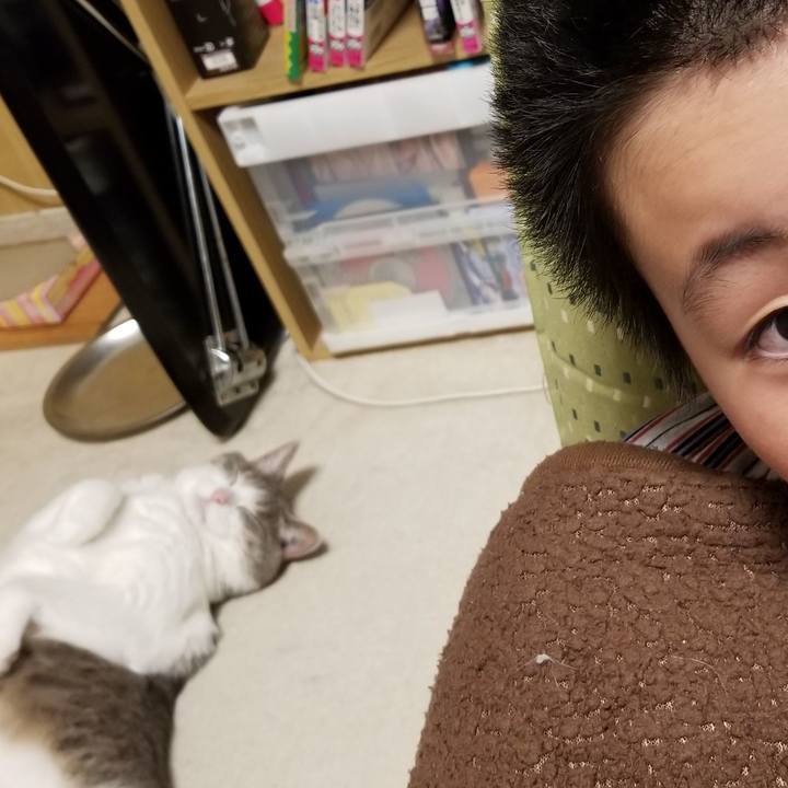 98752a11 01a2 44ca 8ce3 c0fb83fca090 1544951364939