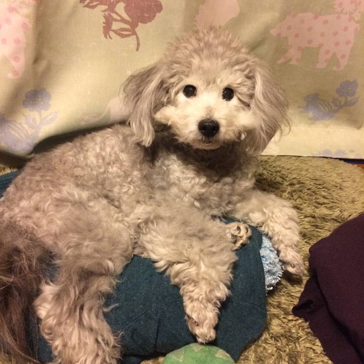 987556a9 7c1d 4380 9aff 6804affbd99b 1519859619681