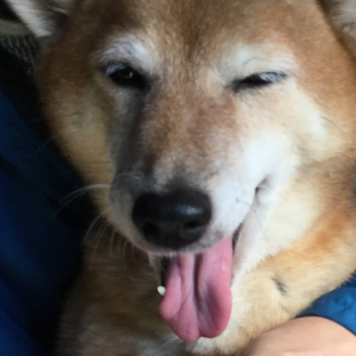 98755732 4abc 4de4 b47c c7357907a490 1573473178094