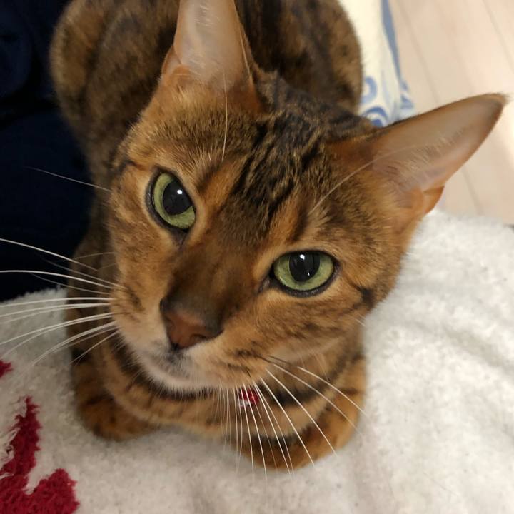 987599e0 57bc 4c5b 9b49 053099deae26 1552220413042