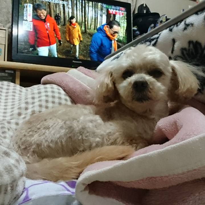 9875b96a 1e6c 43d2 a503 196f05f6febb 1583577435157