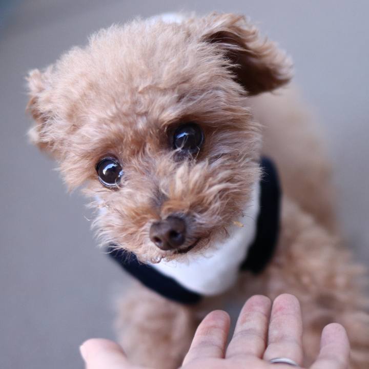 9875bbdc e499 4afb bc26 98de187fe5e3 1602681033524