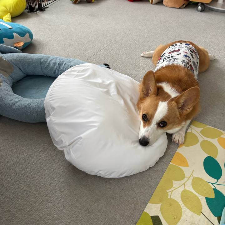 9875f8e7 6df8 44a1 81b2 45339ab58fb1 1761364642689