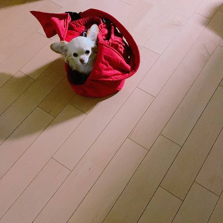 9875fcbe 7ce2 4a2d b2bf 5a248df64adc 1625774261337