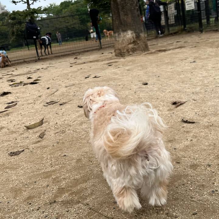 987606a0 d637 4af0 9da1 67578e83c969 1760325675406