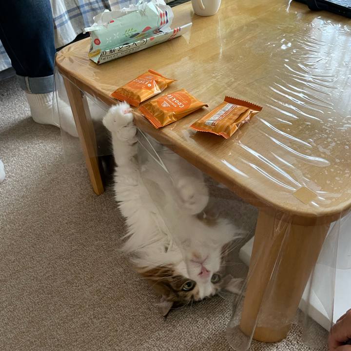 987606b1 1b08 463a 94ea d743f7d8df24 1662882874900