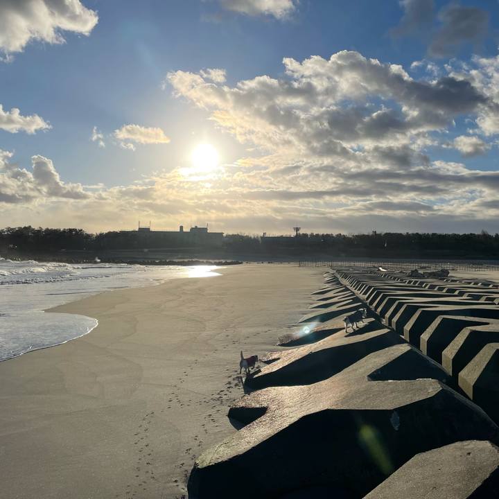 98763db4 d3f9 431c a1eb 595293eab747 1672961988046