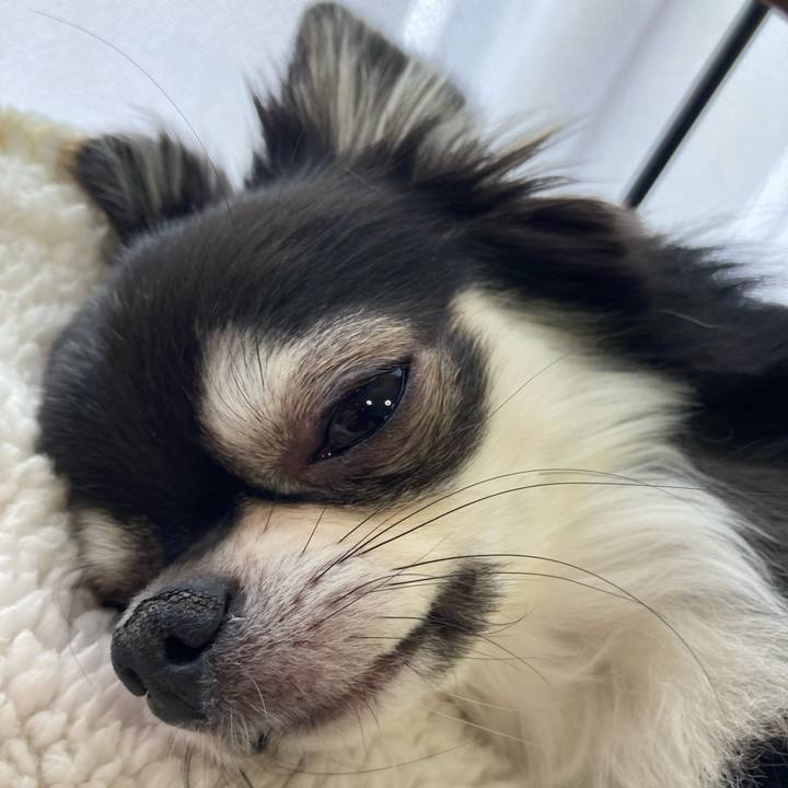 98765ffb defe 4c54 8393 e83cbd3f3755 1647665666674