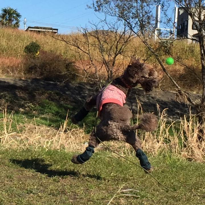 9876b7e3 ddf2 46b8 bab9 111d5bb176ab 1512533953274