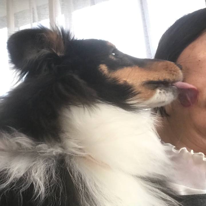 9876d0f7 4f93 4fc8 9317 9b8ad19a3eaf 1522879445497