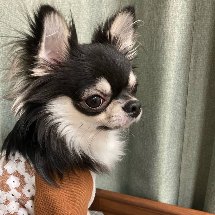 9876d13d 3db4 4069 b85d 7c0a5d697aa7 1608469190700