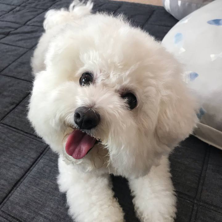 9876fb0e 053e 4ed2 9376 cf361c8df1d6 1569975542555