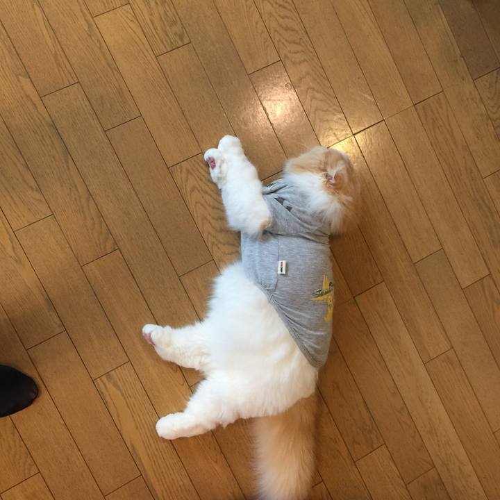 987709b2 0f82 47f7 ab4e 12b435bbfdab 1549681467525