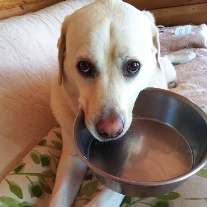 98774020 b791 4d24 802f f5576e643abd 1558743318109