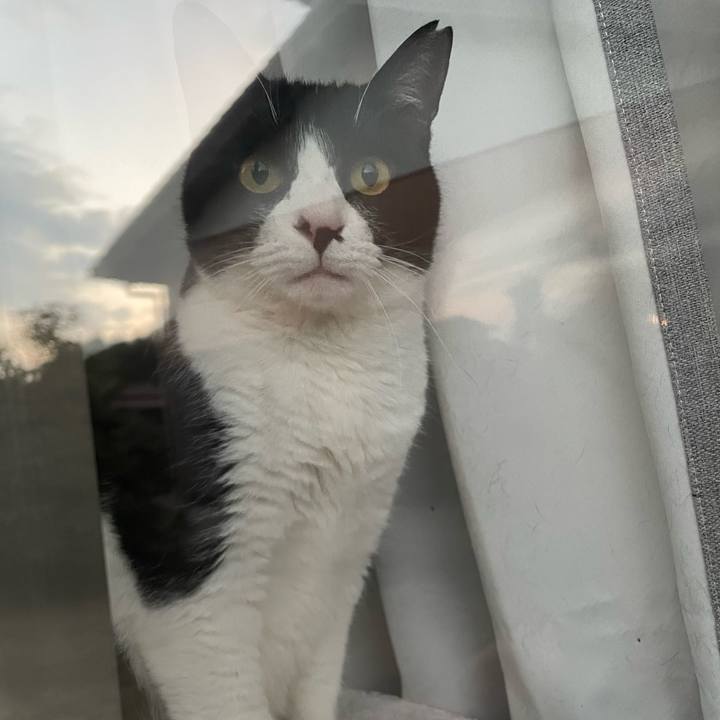 987750cf 06c4 4d58 8620 99a72b58f14b 1740733853741