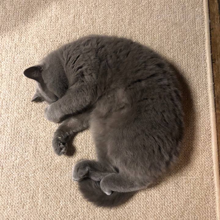 987763eb be17 4fec b30a f57d00c2cfaf 1585648946749