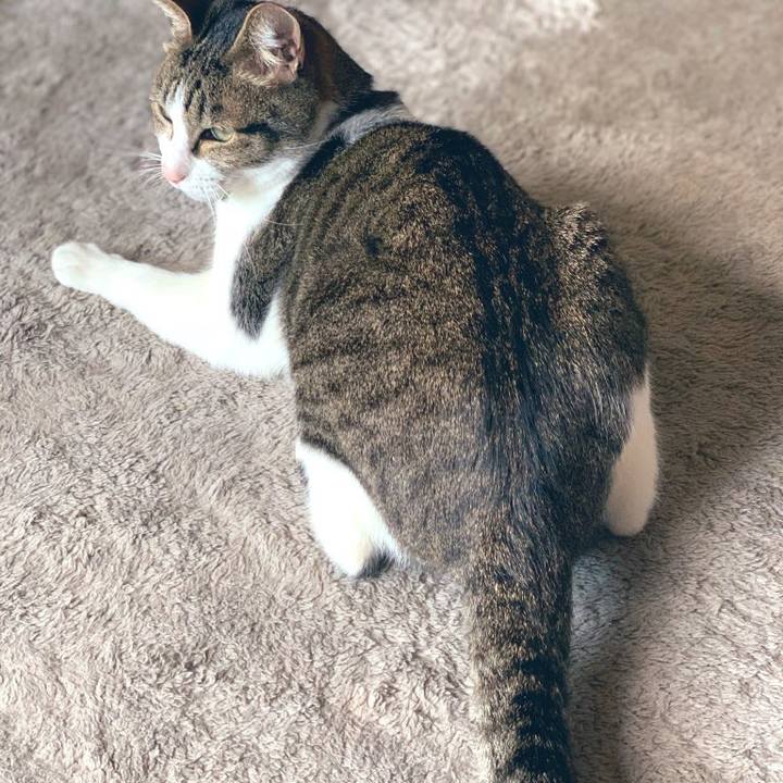 98777017 24e4 44b9 a9b7 9dc417fa9fba 1582774251841