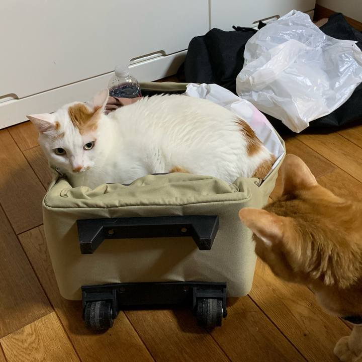 98779247 709a 4644 a001 49665c40d1fa 1634727124493