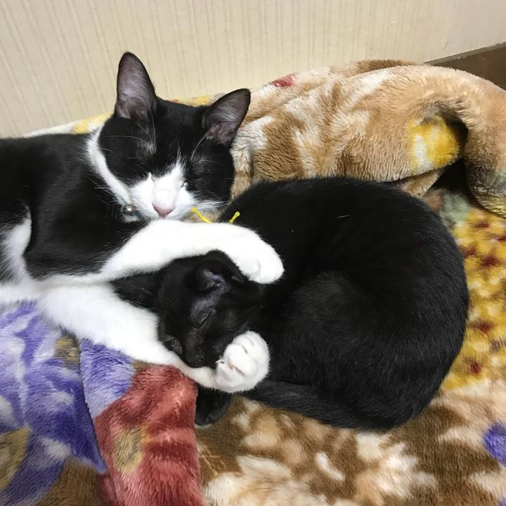 98779828 e0d0 4b66 b031 26e2f7170789 1514098502883