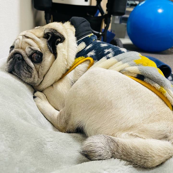 9877b608 199f 44a2 b56a bf88a9099380 1767066281946