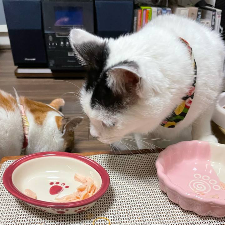 9877d1b9 9eac 466a 864e 884de11bec00 1645524944457