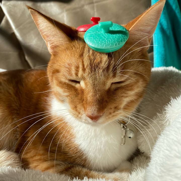 9877d6b9 4327 4ae7 b869 d9a40740a467 1701564023717