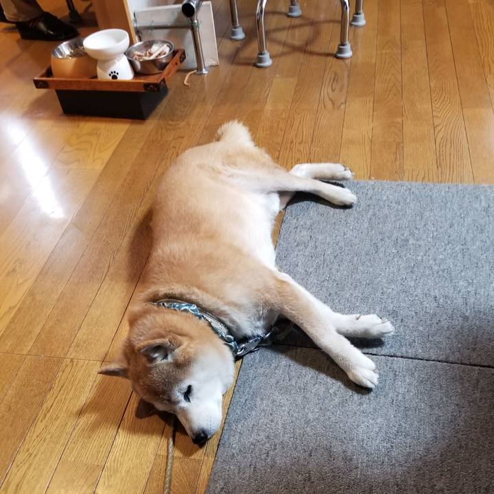 987801c3 655f 4fd6 83eb 8a48239b5344 1708038906912