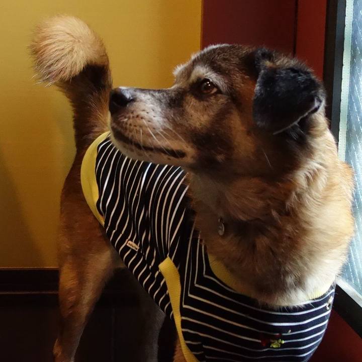 987802ab 4168 430f 8561 31746f51f890 1572048797032