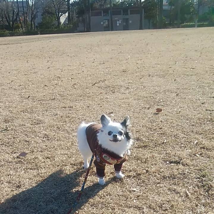 98785c31 68a9 4906 956c 6ea63bdb6f4f 1580726709938