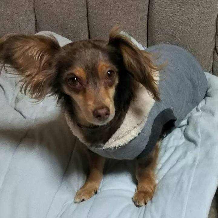 9878a347 26b7 4702 93d8 a74699c1893b 1546865390947