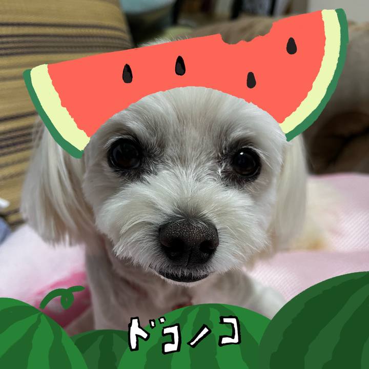 9878b7a4 9202 46af aa46 817f4212f9cb 1720836066229