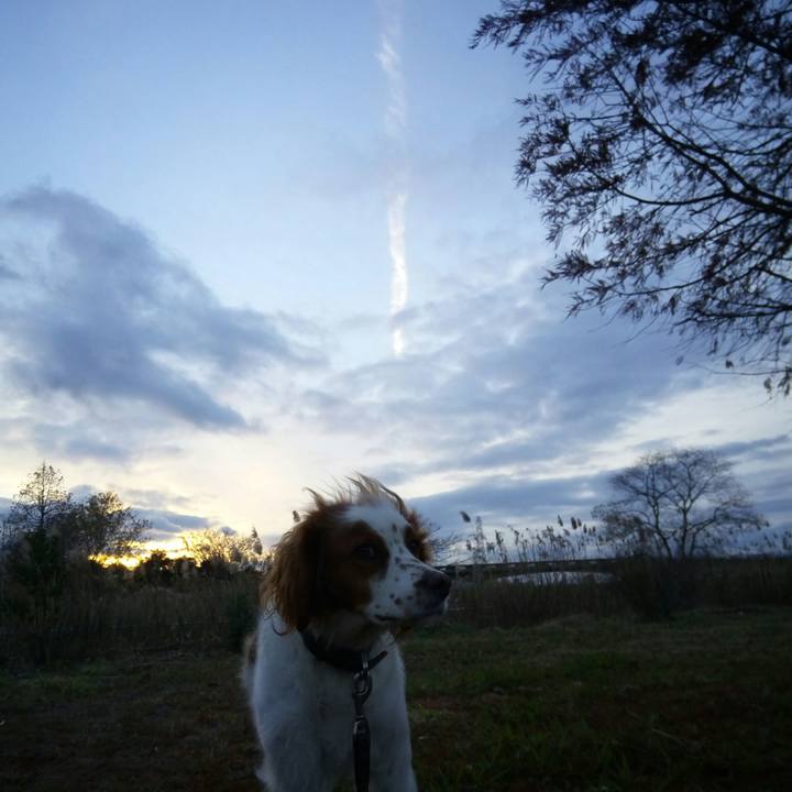 9878dd11 8e1e 4a3d a52c 6ee0f8801200 1514450439872