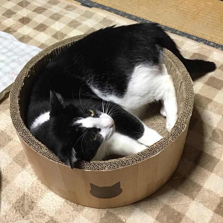 9878dfe8 d6e3 47fb ac03 41b9394ee3e4 1729417619585