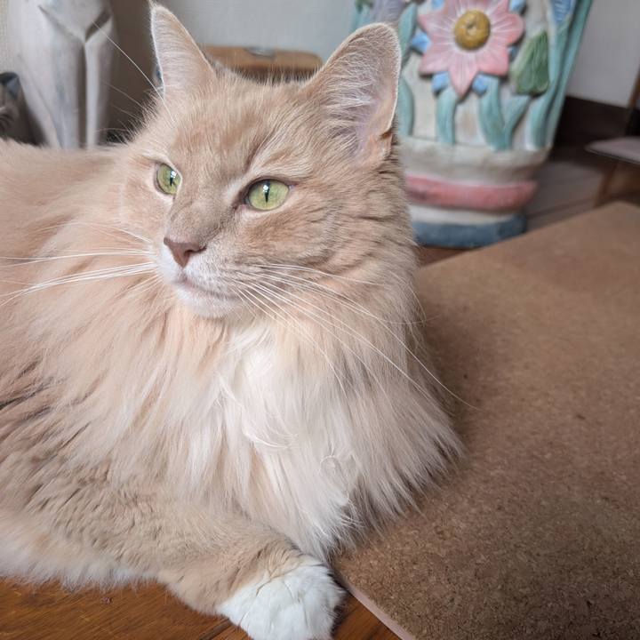 9879148e 71c3 44cc 86c9 58f051f74112 1758778118045