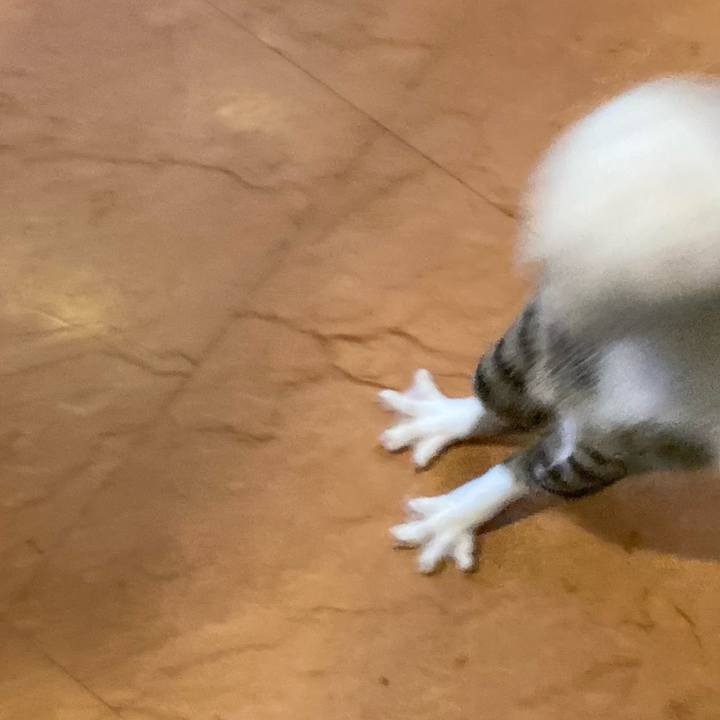 98793136 20df 4b16 92c6 5b4b031e6649 1661850851195