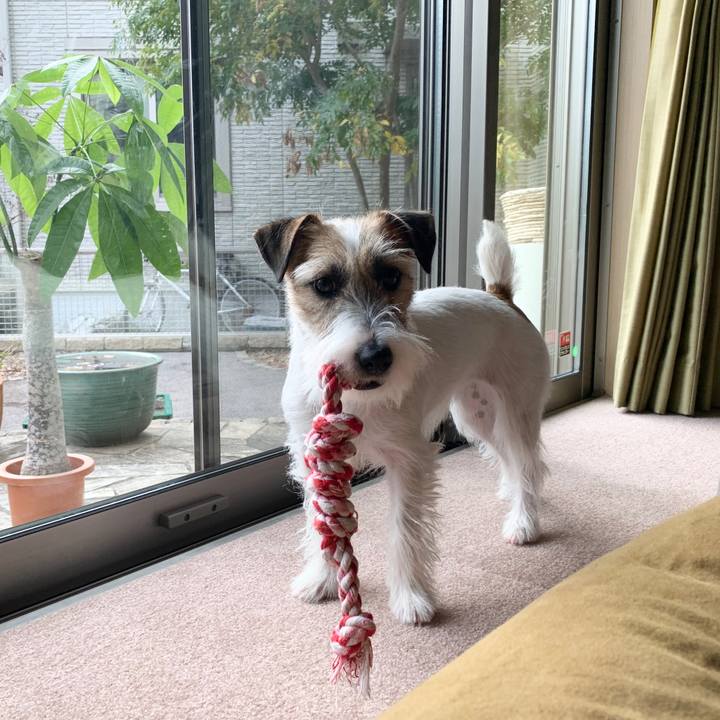 98797406 6fde 4dc8 87ae d0d3a20b7690 1579168946690