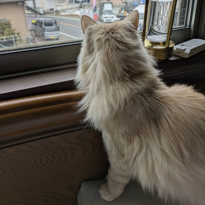 987982ed 8825 454b b1b5 90fc814a9625 1771551634997